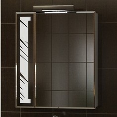 Зеркальный шкаф VIGO Kolombo (№101-600) 60х14х70