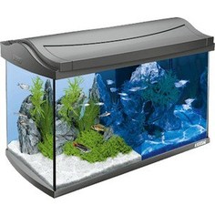 Аквариумный комплекс Tetra AquaArt LED Discover Line Tropical с LED освещением день / ночь 60л