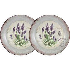 Набор из 2-х суповых тарелок LF Ceramic Лаванда (LF-80E2256-L-AL)