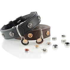 Ошейник Hunter Collar Yuma 50 (35-43см) кожа черный для собак