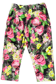 Капри Coco&Wawa Coco&;Wawa