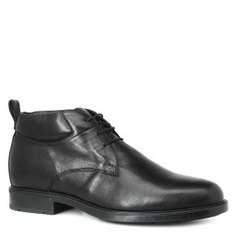 Ботинки NERO GIARDINI A705550U черный