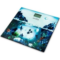 Весы Smile PSE 3222