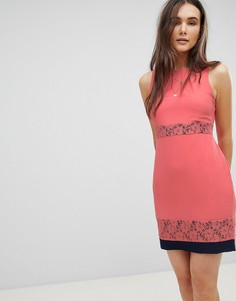 Короткое приталенное платье с кружевными вставками QED London - Розовый