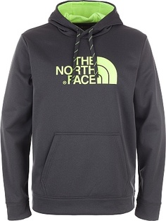 Толстовка мужской The North Face Surgent