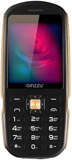 Мобильный телефон Ginzzu R1D (черный)