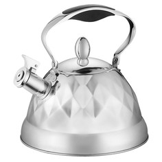 Чайник Чайник Webber BE-0535 3L