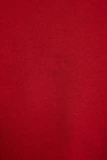 Бордовое худи с логотипом на капюшоне Blank.Moscow