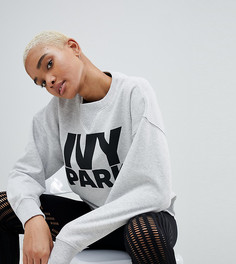 Серый oversize-свитшот с логотипом Ivy Park - Серый