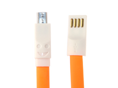 Аксессуар Aksberry USB - microUSB Magnetic 22cm Orange