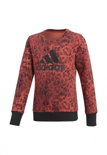 Свитшот adidas Performance