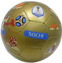 Мяч футбольный FIFA -2018  Т11667 Sochi