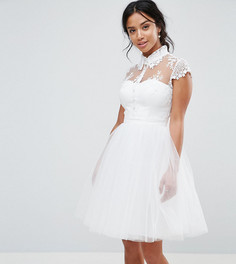 Короткое приталенное платье с кружевным воротником Chi Chi London Petite - Белый