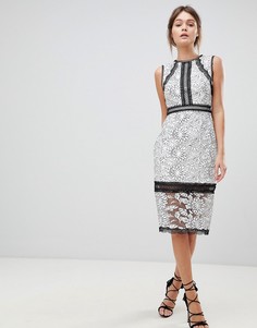 Монохромное кружевное платье-футляр Forever New - Мульти