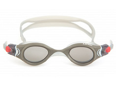 Очки Larsen S45P Silver