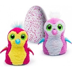 Интерактивный питомец Hatchimals Пингвинчик розовый, вылупляющийся из яйца (1 игрушка)