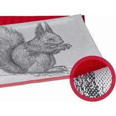 Набор кухонных полотенец Hobby home collection Squirrel коралловый 50x70 2 штуки (1501001629)