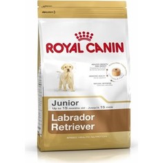 Сухой корм Royal Canin Junior Labrador Retriever для щенков до 15 месяцев породы Лабродор 12кг (349120)