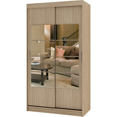Шкаф купе БАРОНС ГРУПП Риф-2 зеркало вариант 3 250x80х60