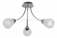 Потолочная люстра Fay TL3660X-03CH Top Light