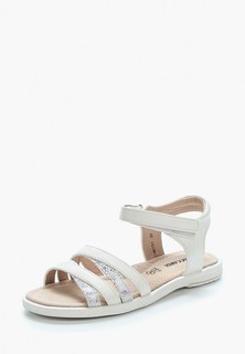 Сандалии T.Taccardi