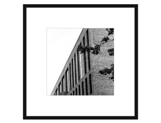 Авторская арт-фотография живое-мертвое #1 (george rouchin photography) черный 55x55 см.