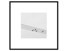 Авторская арт-фотография 4 ноты (george rouchin photography) черный 42x42 см.