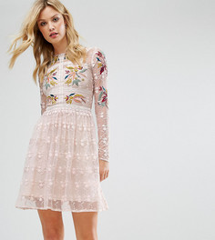 Короткое приталенное премиум-платье для выпускного с вышивкой Frock And Frill Tall - Мульти