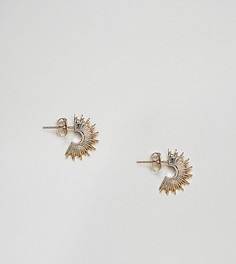 Позолоченные серьги-кольца Estella Bartlett - Золотой