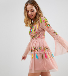 Короткое приталенное платье с вышивкой и кисточками Frock And Frill Petite - Розовый