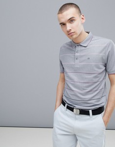 Поло серого цвета с градиентными полосками Calvin Klein Golf CKMS18106 - Серый