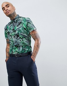 Приталенная рубашка с пальмовым принтом Devils Advocate - Черный