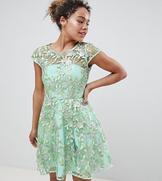 Короткое приталенное платье с вышивкой ASOS EDITION Petite - Зеленый