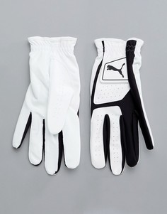 Белые перчатки из искусственной кожи Puma Golf 4135201 - Черный