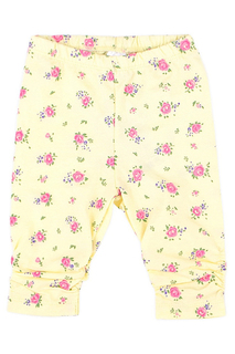 Бриджи Crockid