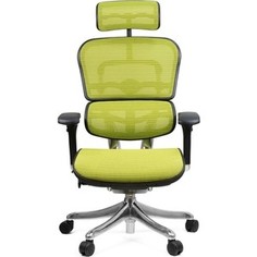 Кресло эргономичное Comfort Seating Group EHPE-AB-HAM (Д) KMD-34 ergohuman plus elite green