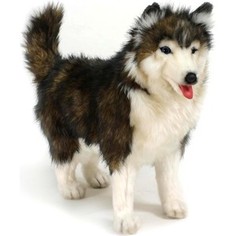 Мягкая игрушка Hansa Собака породы Сибирский Хаски, 40 см (4824)