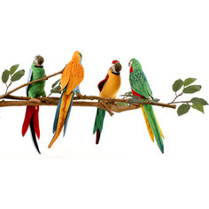 Мягкая игрушка Hansa Желтый попугай, 37 см (3323)