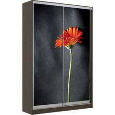 Шкаф-Купе Престиж-Купе Рико 2д фотопечать Гербера 0294-321