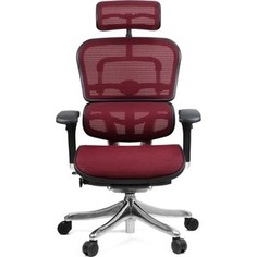 Кресло эргономичное Comfort Seating Group EHPE-AB-HAM (Д) KMD-37 ergohuman plus elite burgundy