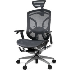 Кресло эргономичное GTChair DV-10E GT-12 Dvary black (polished frame)