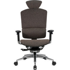 Кресло эргономичное GTChair SE-13D LP-02 I-See brown (chromed frame)