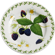 Тарелка 20 см Maxwell & Williams Ежевика (MW637-PB8209)