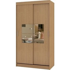 Шкаф купе БАРОНС ГРУПП РИФ-2 зеркало вариант 5 250x80х40