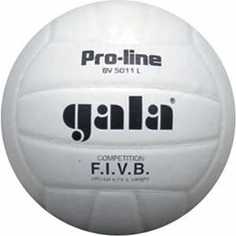 Мяч волейбольный Gala Pro-Line Competition (BV5011L), размер 5, цвет бело-черный
