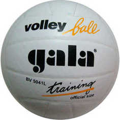 Мяч волейбольный Gala Training (BV5041L), размер 5, цвет бело-черный