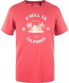 Футболка мужская ONeill Skinnydips Oneill