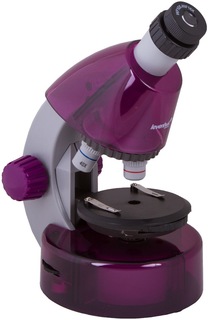 Микроскоп Levenhuk LabZZ M101 (аметист)