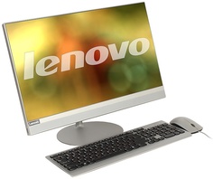 Моноблок Lenovo IdeaCentre 520-22IKU F0D50013RK (серебристый)
