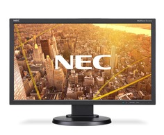 Монитор NEC MultiSync E233WMi Black